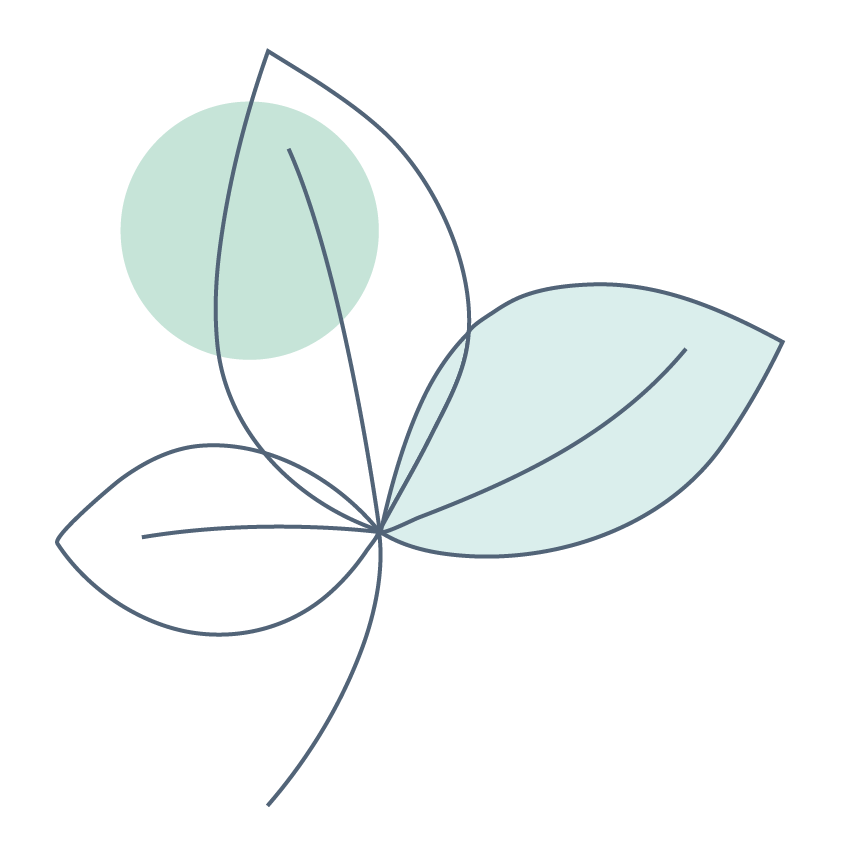 dessin feuille
